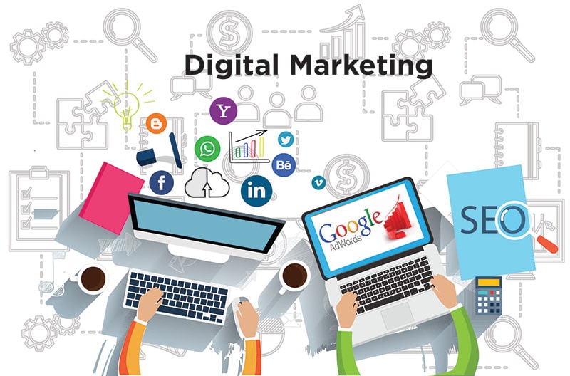 A Trusted Digital Marketing Partner in New Zealand